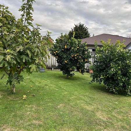 Matamata Villa Bagian luar foto